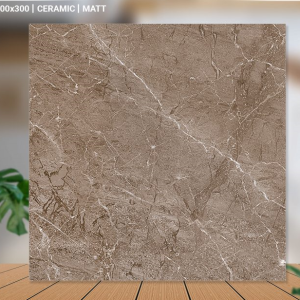 GẠCH LÁT 30X30 (7)3 11V/M