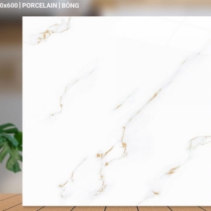 GẠCH LÁT 60X60 (7)2 PROCELAIN BÓNG