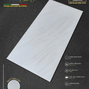 GẠCH ỐP LÁT 60X120 (4)2  PROCELAIN MATT CAO CẤP