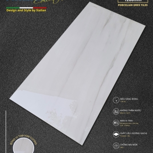 GẠCH ỐP LÁT 60X120 (4)11 PROCELAIN BÓNG KÍNH VI TINH CAO CẤP