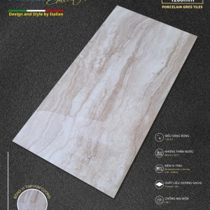 GẠCH ỐP LÁT 60X120 (4)13 PROCELAIN BÓNG KÍNH VI TINH CAO CẤP