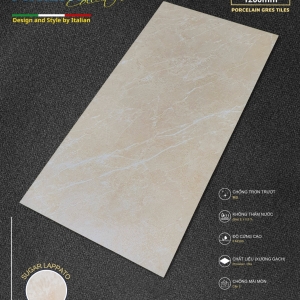 GẠCH ỐP LÁT 60X120 (4)21 PROCELAIN SUGAR