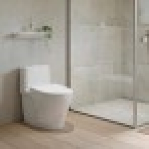 Bồn Cầu INAX AC-989VN (AC989VN) 1 Khối Nắp Êm