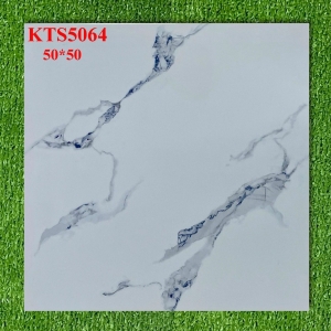 GẠCH LÁT 50X50 (6)5 CERAMIC