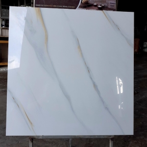 GẠCH LÁT 60X60 (2)28 BÓNG KÍNH