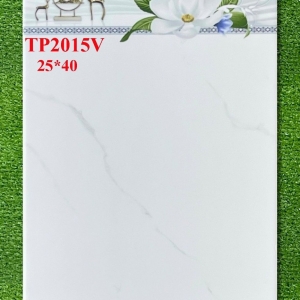 GẠCH ỐP 25X40 (6)9 CERAMIC