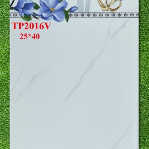 GẠCH ỐP 25X40 (6)10 CERAMIC