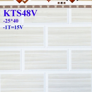 GẠCH ỐP 25X40 (6)12 CERAMIC