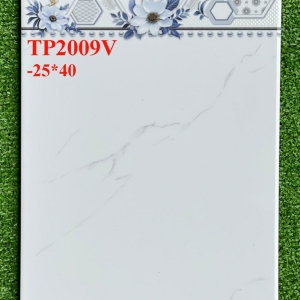 GẠCH ỐP 25X40 (6)14 CERAMIC