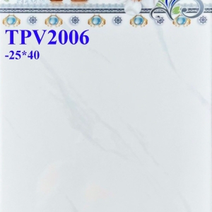 GẠCH ỐP 25X40 (6)17 CERAMIC