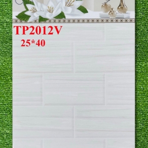 GẠCH ỐP 25X40 (6)18 CERAMIC