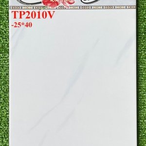 GẠCH ỐP 25X40 (6)19 CERAMIC