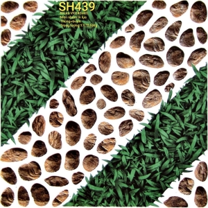GẠCH LÁT SÂN VƯỜN 40X40 (6)32 CERAMIC 