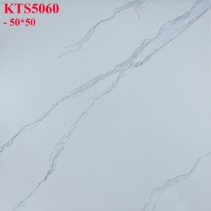 GẠCH LÁT 50X50 (6)20 CERAMIC