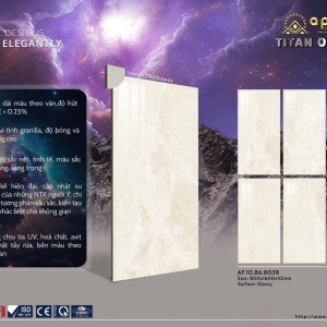 GẠCH ỐP LÁT 80X160 (4)9 SIÊU BÓNG CAO CẤP