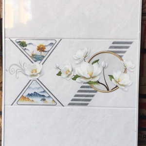 GẠCH ỐP 30X60 (6)23 CERAMIC