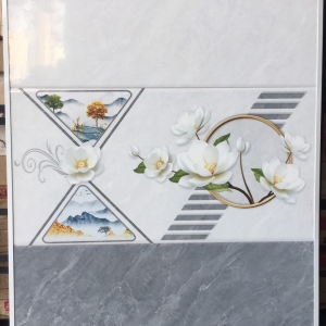 GẠCH ỐP 30X60 (6)25 CERAMIC