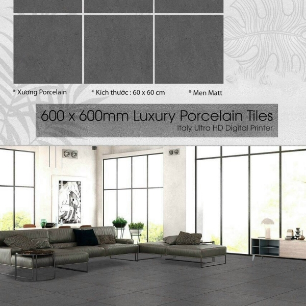 60X60 (2)1 MATT PROCELAIN