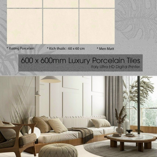 60X60 (2)3 MATT PROCELAIN