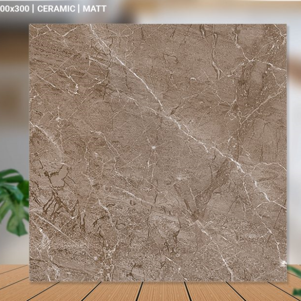 GẠCH LÁT 30X30 (7)3 11V/M