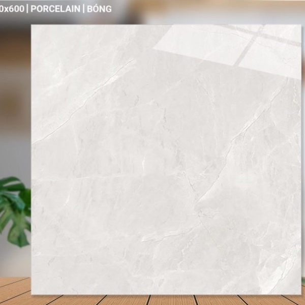 GẠCH LÁT 60X60 (7)1 PROCELAIN BÓNG 