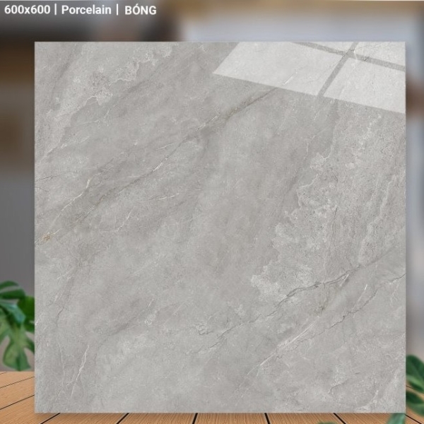 GẠCH LÁT 60X60 (7)6 PROCELAIN BÓNG