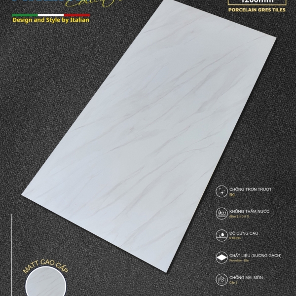 GẠCH ỐP LÁT 60X120 (4)2  PROCELAIN MATT CAO CẤP