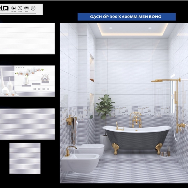 GẠCH ỐP 30X60 (6)2 CERAMIC