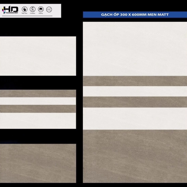 GẠCH ỐP 30X60 (6)12 CERAMIC MATT