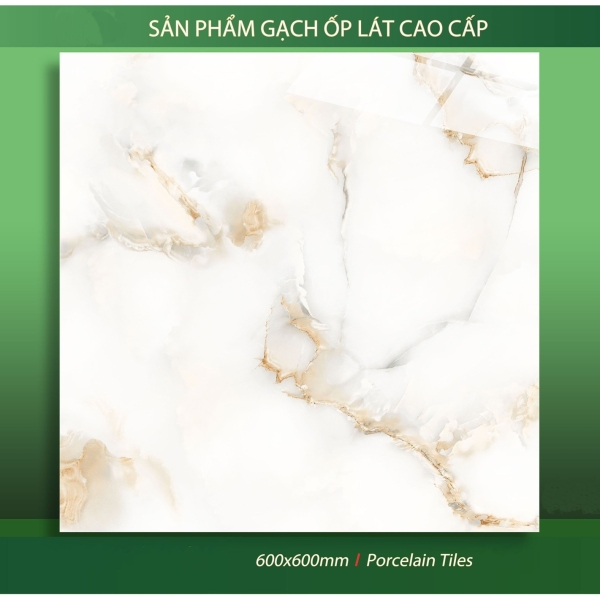 GẠCH LÁT 60X60 (2)16 BÓNG KÍNH