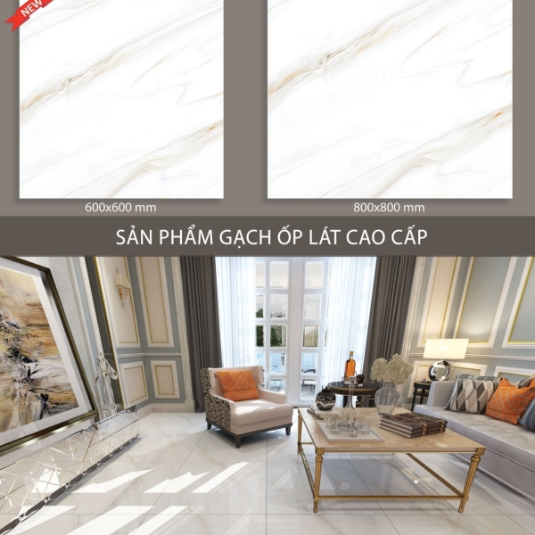 GẠCH LÁT 60X60 (2)17 BÓNG KÍNH