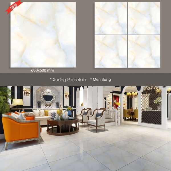 GẠCH LÁT 60X60 (2)23 BÓNG KÍNH