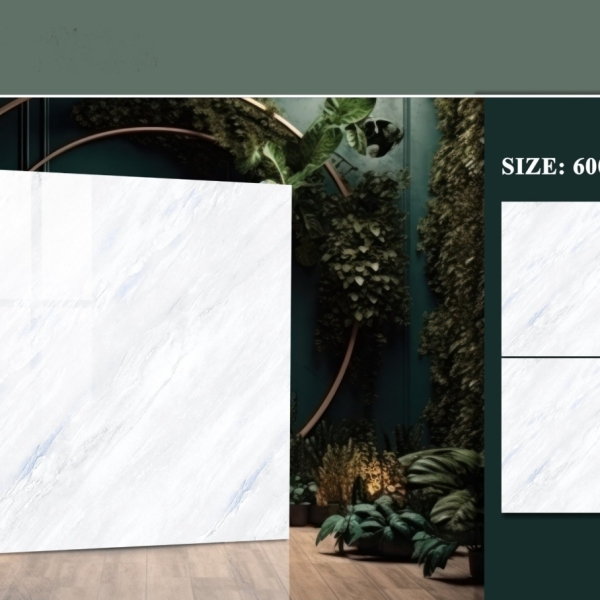 GẠCH LÁT 60X60 (2)27 BÓNG KÍNH