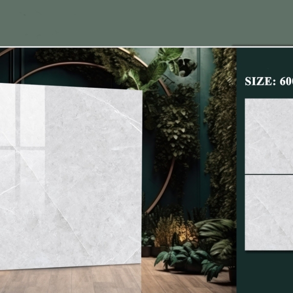 GẠCH LÁT 60X60 (2)29 BÓNG KÍNH