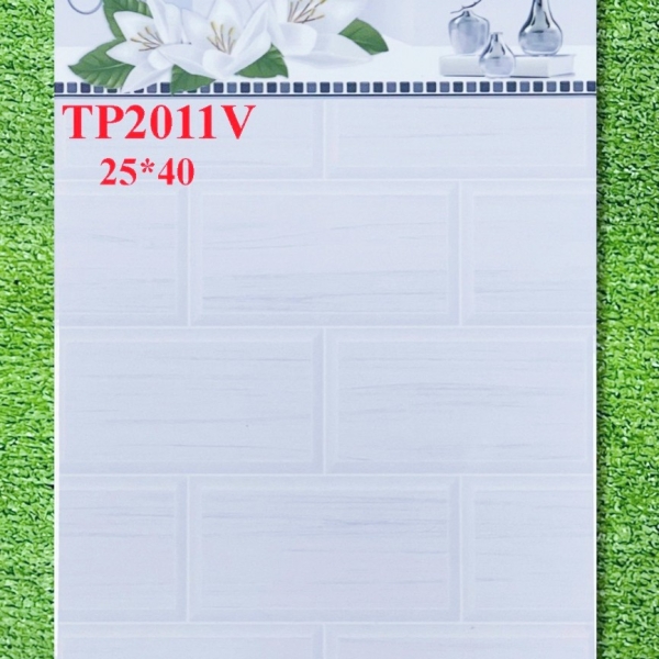GẠCH ỐP 25X40  (6)1 CERAMIC