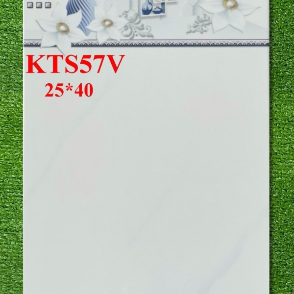 GẠCH ỐP 25X40 (6)2 CERAMIC