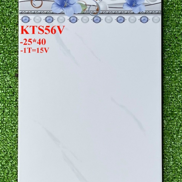 GẠCH ỐP 25X40 (6)5 CERAMIC