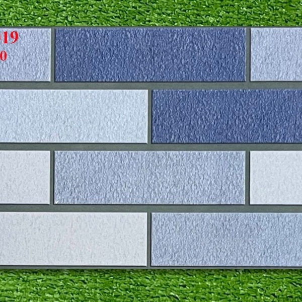 GẠCH ỐP 25X40 (6)8 CERAMIC