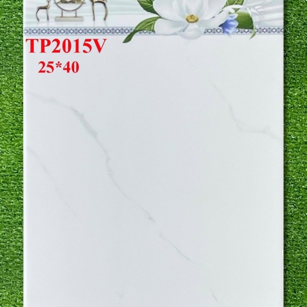 GẠCH ỐP 25X40 (6)9 CERAMIC