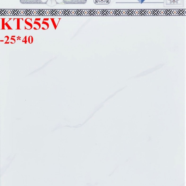 GẠCH ỐP 25X40 (6)11 CERAMIC