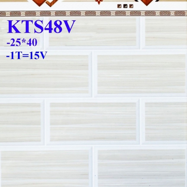 GẠCH ỐP 25X40 (6)12 CERAMIC