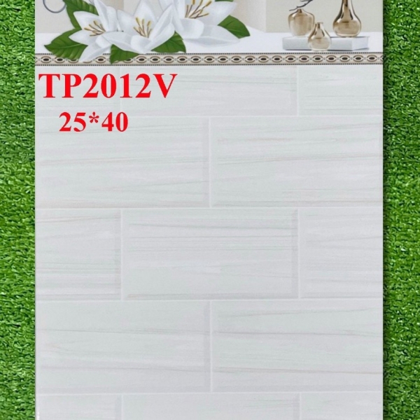 GẠCH ỐP 25X40 (6)18 CERAMIC