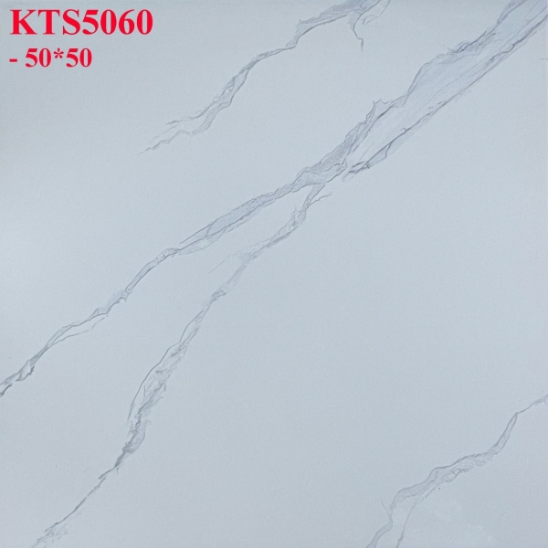 GẠCH LÁT 50X50 (6)20 CERAMIC
